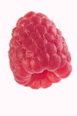 Beyaz bir arka plan üzerinde tasarım öğesi olarak olgun tek ahududu