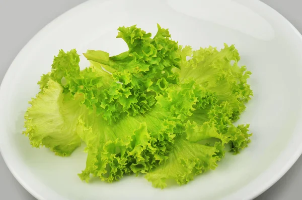 Frischer grüner Eichensalat isoliert auf dem Teller — Stockfoto