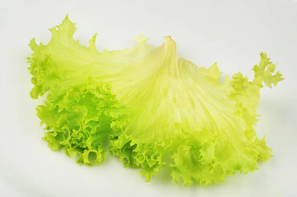 Frischer grüner Eichensalat isoliert auf dem Teller — Stockfoto