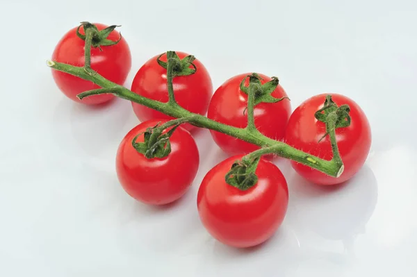 Tomates rouges entières de groupe avec branche verte isolée sur fond gris. sain biologique vitamine plante tomate gros plan photo — Photo