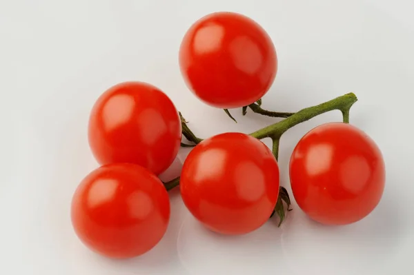 Tomates rouges entières de groupe avec branche verte isolée sur fond gris. sain biologique vitamine plante tomate gros plan photo — Photo