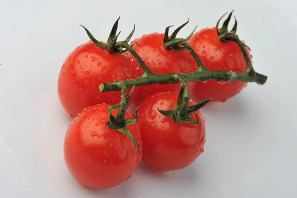 Tomates rouges entières de groupe avec branche verte isolée sur fond gris. sain biologique vitamine plante tomate gros plan photo — Photo