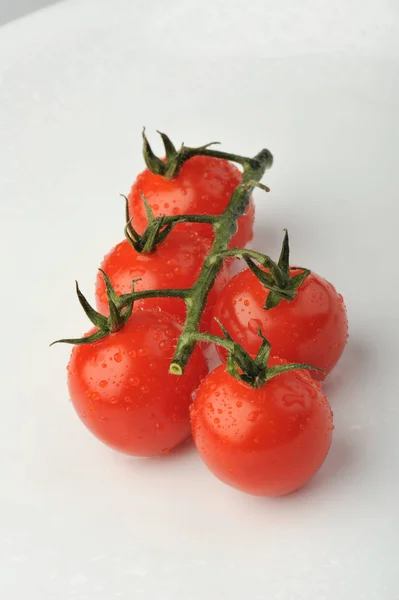 Hele groep rode tomaten met groene tak geïsoleerd op grijze achtergrond. Gezonde biologische vitamine plant tomaat close-up foto — Stockfoto