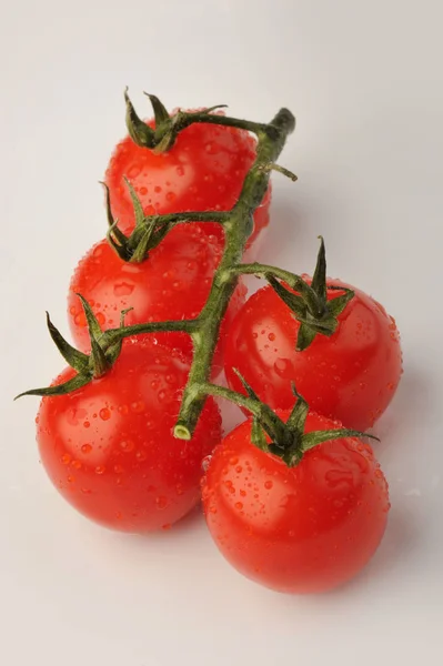 Tomates rouges entières de groupe avec branche verte isolée sur fond gris. sain biologique vitamine plante tomate gros plan photo — Photo