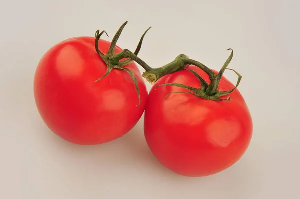 Tomates fraîches isolées sur le fond gris — Photo