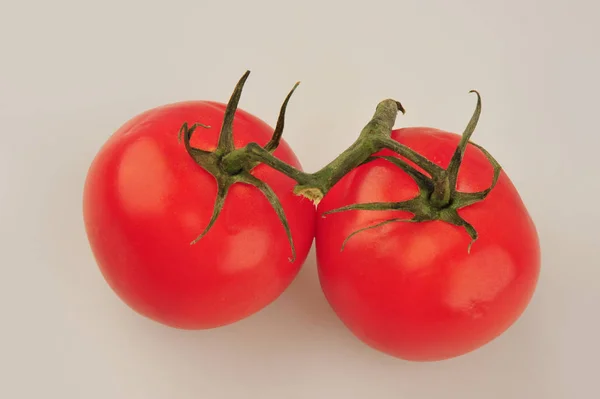 Tomates fraîches isolées sur le fond gris — Photo