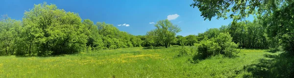 Panorama de um prado verde, um subúrbio de Novomoskovsk, Ucrânia — Fotografia de Stock