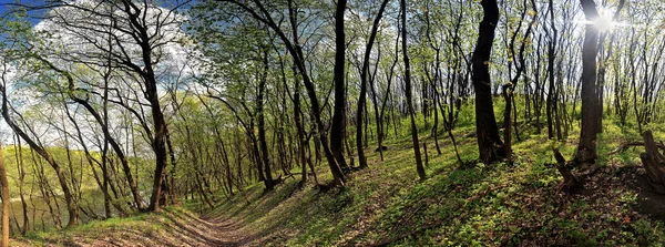 Panorama de un prado verde, un suburbio de Novomoskovsk, Ucrania — Foto de Stock