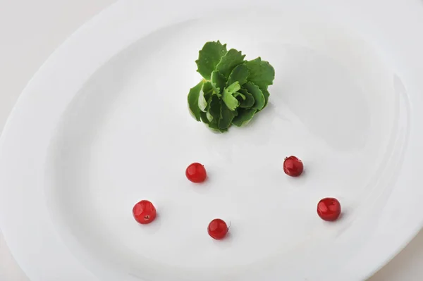 Zeleninová zelenina na velké bílé desce izolovaná na bílém pozadí — Stock fotografie