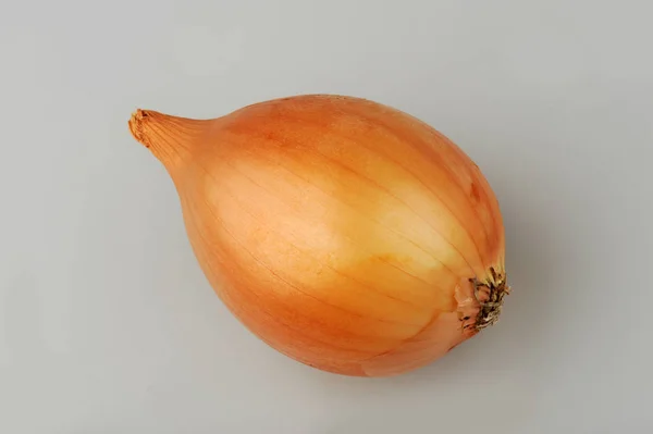 Ένα κρεμμύδι απομονωμένο στο γκρι φόντο — Φωτογραφία Αρχείου