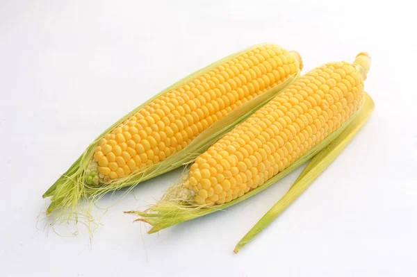 Sweet ripe Corn on a white isolated background — Stock Photo, Image