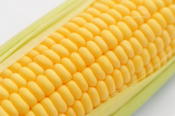 Sweet ripe Corn on a white isolated background — Stock Photo, Image