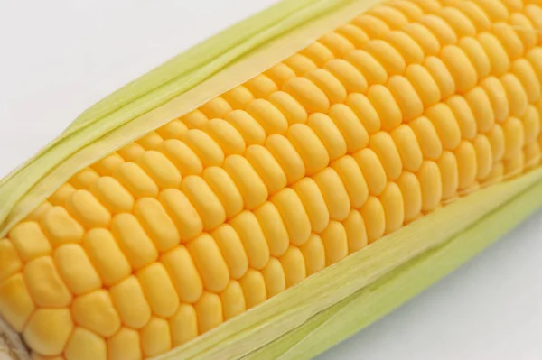 Sweet ripe Corn on a white isolated background — Stock Photo, Image