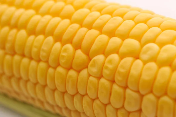 Sweet ripe Corn on a white isolated background — Stock Photo, Image