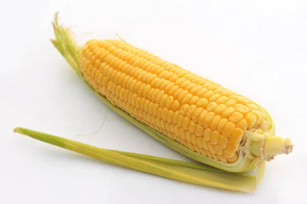 Sweet ripe Corn on a white isolated background — Stock Photo, Image