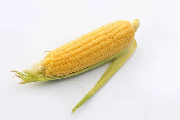 Sweet ripe Corn on a white isolated background — Stock Photo, Image