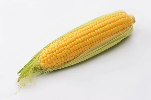 Sweet ripe Corn on a white isolated background — Stock Photo, Image