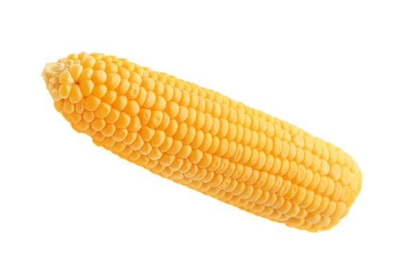 Sladká zralá kukuřice na bílém izolovaném pozadí — Stock fotografie