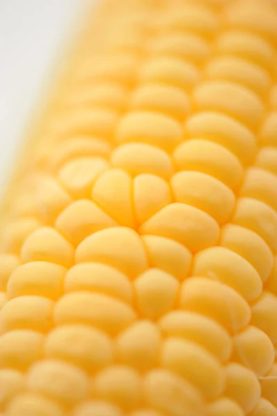 Słodki dojrzały kukurydza na białym białym tle — Zdjęcie stockowe