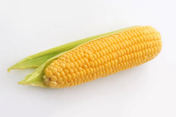 Söt mogen majs på en vit isolerad bakgrund — Stockfoto