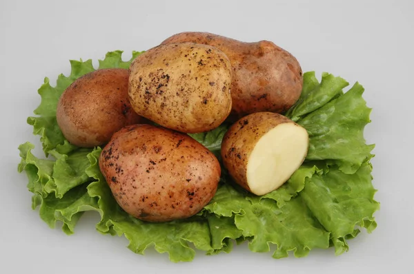 Lots of raw potatoes on oak lettuce on gray isolated background — Stock Photo, Image