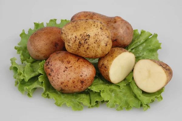 Veel rauwe aardappelen op eiken sla op grijze geïsoleerde achtergrond — Stockfoto