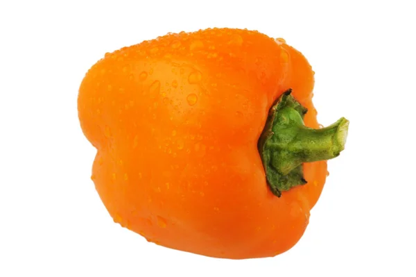 Pimenta laranja isolada sobre um fundo branco — Fotografia de Stock