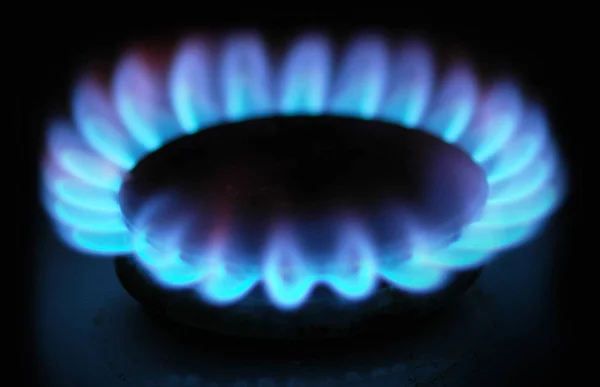 Burning blue gas on the stove. Focus on the front edge of the gas burners