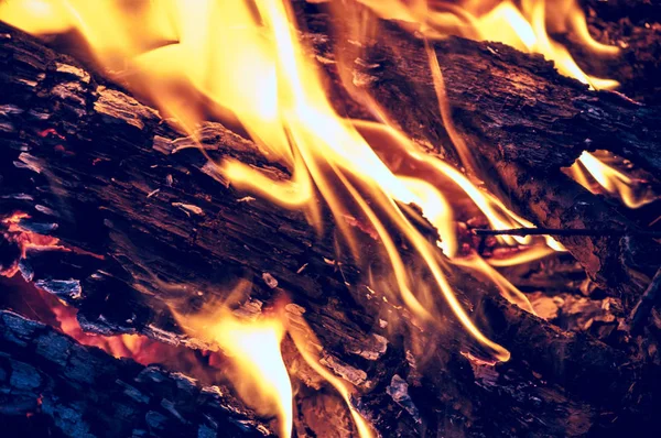 Şöminede yakacak odun yakın.