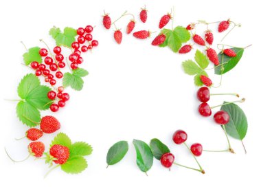 Taze meyveler beyaz bir arka plan üzerinde bir daire içinde ortaya koydu