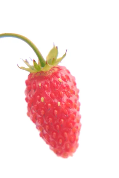 Клубника из красной ягоды на белом фоне — стоковое фото