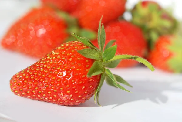 白い背景に赤いベリーのイチゴ — ストック写真