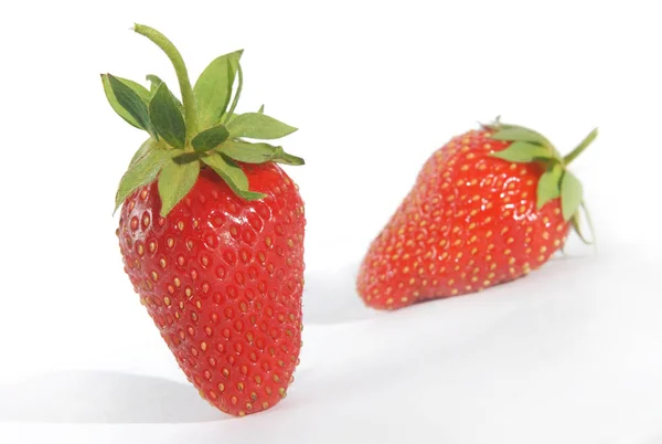 Fresas de bayas rojas sobre un fondo blanco — Foto de Stock