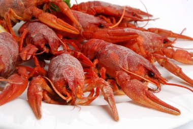 Beyaz arka planda izole edilmiş bir tabakta kırmızı haşlanmış kerevit..