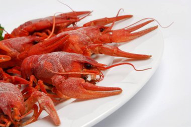 Beyaz arka planda izole edilmiş bir tabakta kırmızı haşlanmış kerevit..