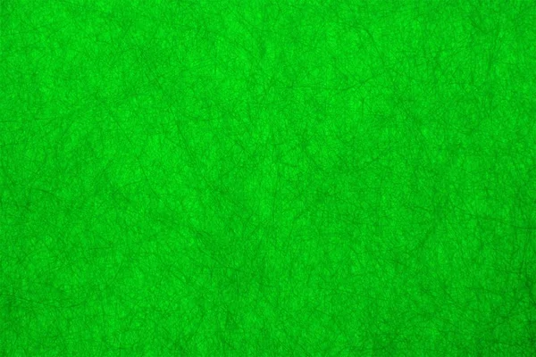Bella Astrazione Sfondo Verde Fibroso Immagine Colorata Wallpaper Forma Immagine — Foto Stock