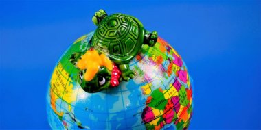 Çocuk oyuncak figürü - dünya kürekaplumbağası. Oyuncak, hayali bir yaratığın azaltılmış bir modelidir. Feng Shui göre, kaplumbağa bilgelik, sağlık, uzun ömür, uzayın korunması anlamına gelir. 