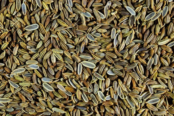 Fennel seeds - vegetable dill, spice. Fennel - spice, oblong seeds of greenish-brown color, has a sweet aroma and sweet-spicy taste. Fennel essential oil is used in medicine, perfume and cosmetic industry.