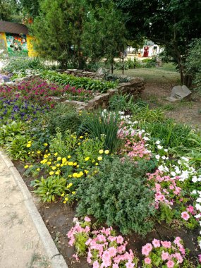 Parktaki çiçek tarhı