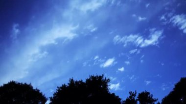 kontrast ağaçlar üzerinde mavi gökyüzü