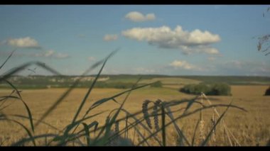 alanlar ve arka plan üzerinde şehir