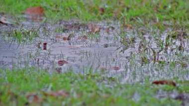 meltem üzerinden küçük dalgalanmalar ile birikintisi