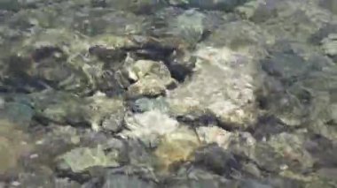 Açık su video