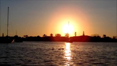 Üç ördek önünde güzel bir gün batımı Yüzme