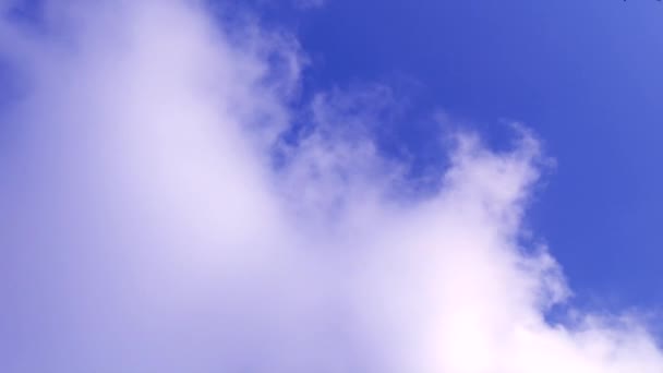 Wolken Een Blauwe Hemel Met Een Vogel Passeren — Stockvideo