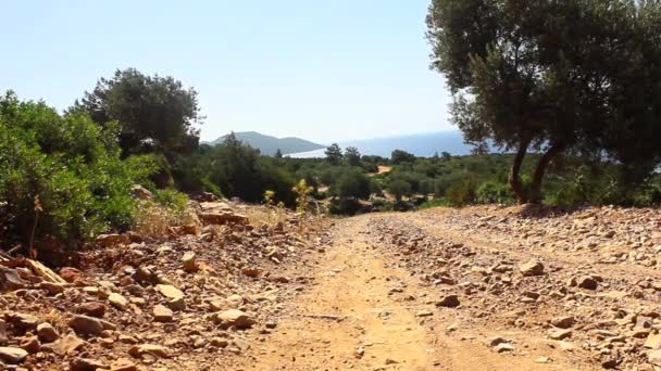 Dirt Track Türkiye — Stok video