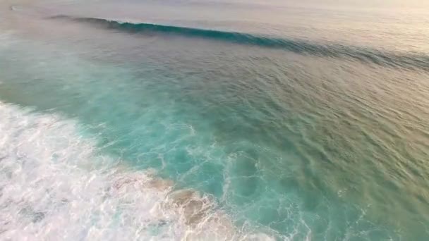 Images Drones Vagues Bleues Turquoise Écrasant Sur Récif Peu Profond — Video