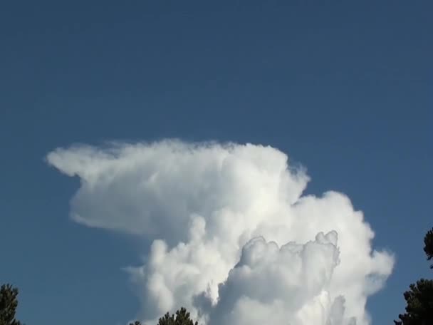 Met Stijgende Cumulonimbus Wolken — Stockvideo