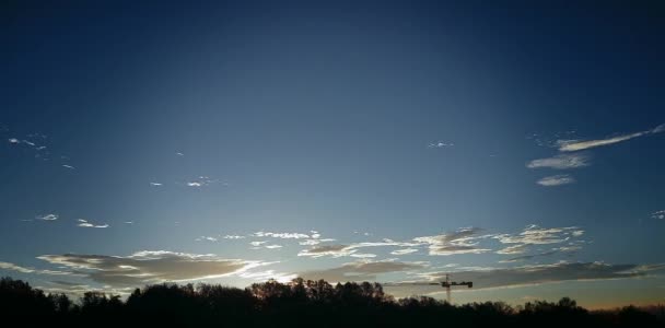 Bosque Cielo Amanecer — Vídeo de stock