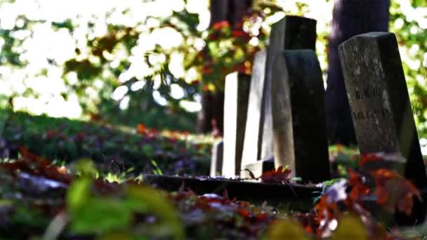 Grey Stone Headstones Cemetery Surrounded Colorful Fall Foliage — Stock Video